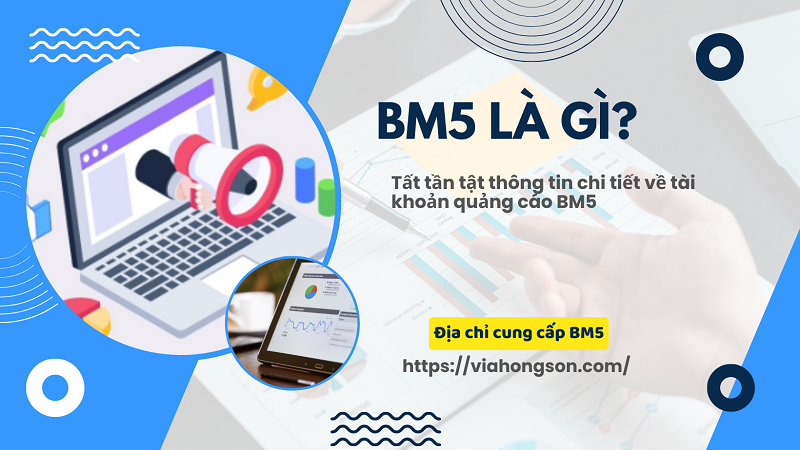 Bm5 là gì? tất tần tật thông tin về bm5